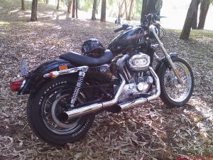 Harley Davidson Xl 883 Sportster