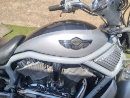 Harley Davidson 2003 Harley-davidson V-rod – 100th Anniversary Edi