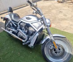 Harley Davidson 2003 Harley-davidson V-rod – 100th Anniversary Edi