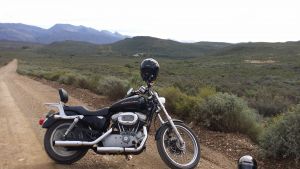 Harley Davidson 883 Sportster