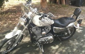 Harley Davidson 883 Sportster