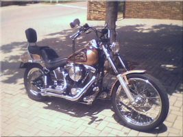 Harley Davidson Custom Softail