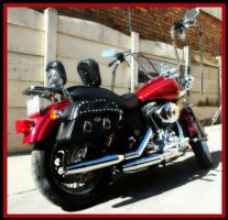 Harley Davidson Dyna Super Glide Custom