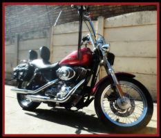 Harley Davidson Dyna Super Glide Custom