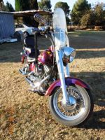 Harley Davidson Fat Boy