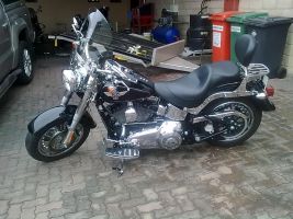 Harley Davidson Flstc Heritage Softail