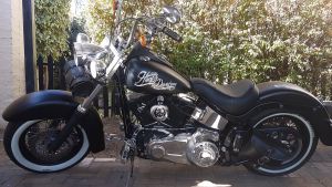 Harley Davidson Softail Custom
