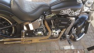 Harley Davidson Softail Custom