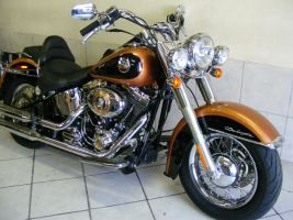 Harley Davidson Softail Delux 1600