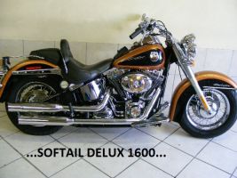 Harley Davidson Softail Delux 1600