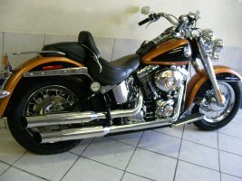 Harley Davidson Softail Delux 1600