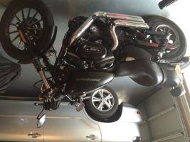 Harley Davidson Sportster 883 Iron