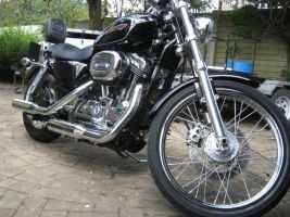 Harley Davidson Sportster Custom Xl1200c