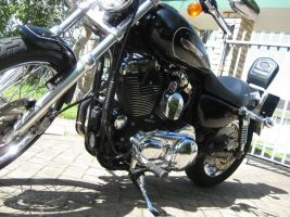 Harley Davidson Sportster Custom Xl1200c