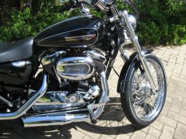 Harley Davidson Sportster Custom Xl1200c