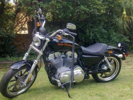 Harley Davidson Sportster Super Low