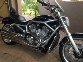 Harley Davidson V-rod