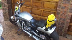 Harley Davidson V Rod Muscle