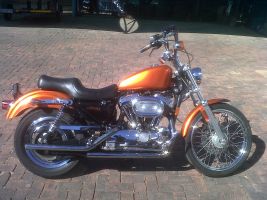 Harley Davidson Xl1200 Sportster