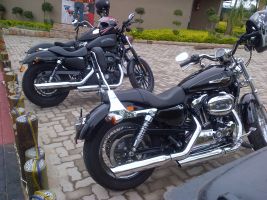 Harley Davidson Xl1200 Sportster