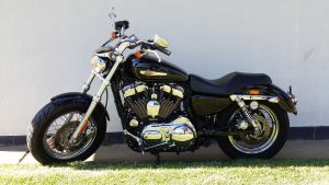 Harley Davidson Xl1200 Sportster