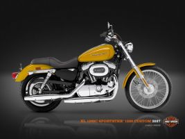 Harley Davidson Xl 1200c Sportster