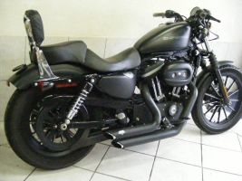 Harley Davidson Xl 883