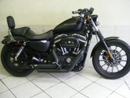 Harley Davidson Xl 883
