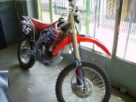 Honda 450 X Scrambler