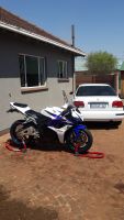 Honda 600 Rr