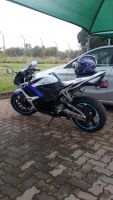 Honda 600 Rr