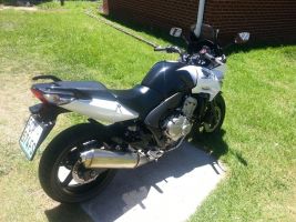 Honda Cbf 600 S