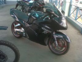 Honda Cbr1100xx Blackbird