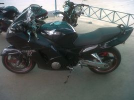 Honda Cbr1100xx Blackbird