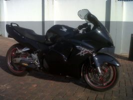 Honda Cbr1100xx Blackbird