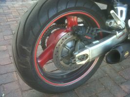 Honda Cbr1100xx Blackbird