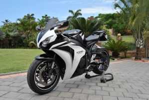Honda Cbr 1000 Fire Blade
