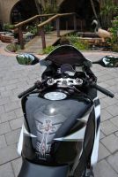 Honda Cbr 1000 Fire Blade