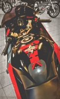 Honda Cbr 1100 Blackbird