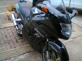 Honda Cbr 1100 Xx