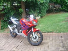 Honda Cbr 125