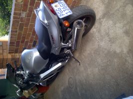 Honda Cbr Blackbird