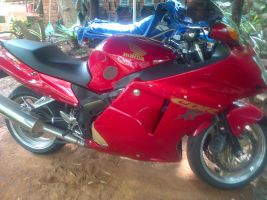 Honda Honda Cbr Xx Super Blackbird