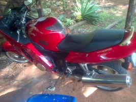 Honda Honda Cbr Xx Super Blackbird