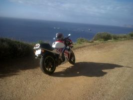 Honda Rvf400
