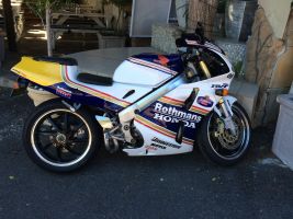 Honda Rvf 400