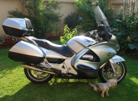 Honda St1300 Pan European