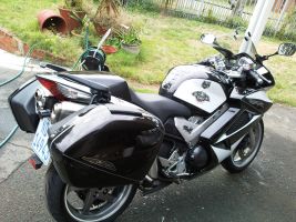 Honda Vfr 800