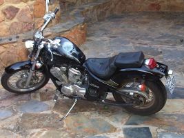 Honda Vlx