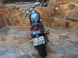 Honda Vlx